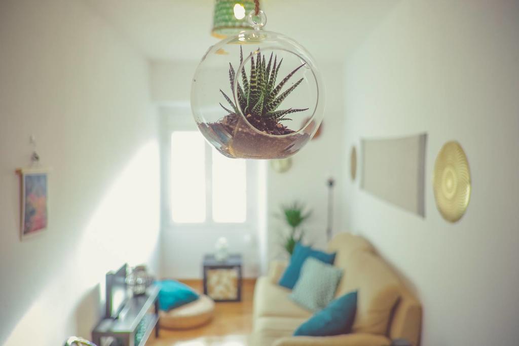 Appartement Flat Sintra